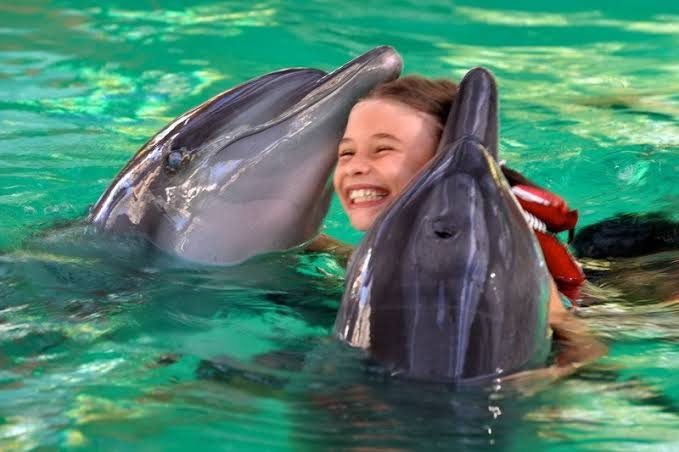 Dolphin interaction experience in Bali