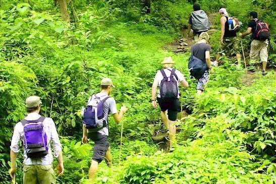 Jungle trekking experience in Bali